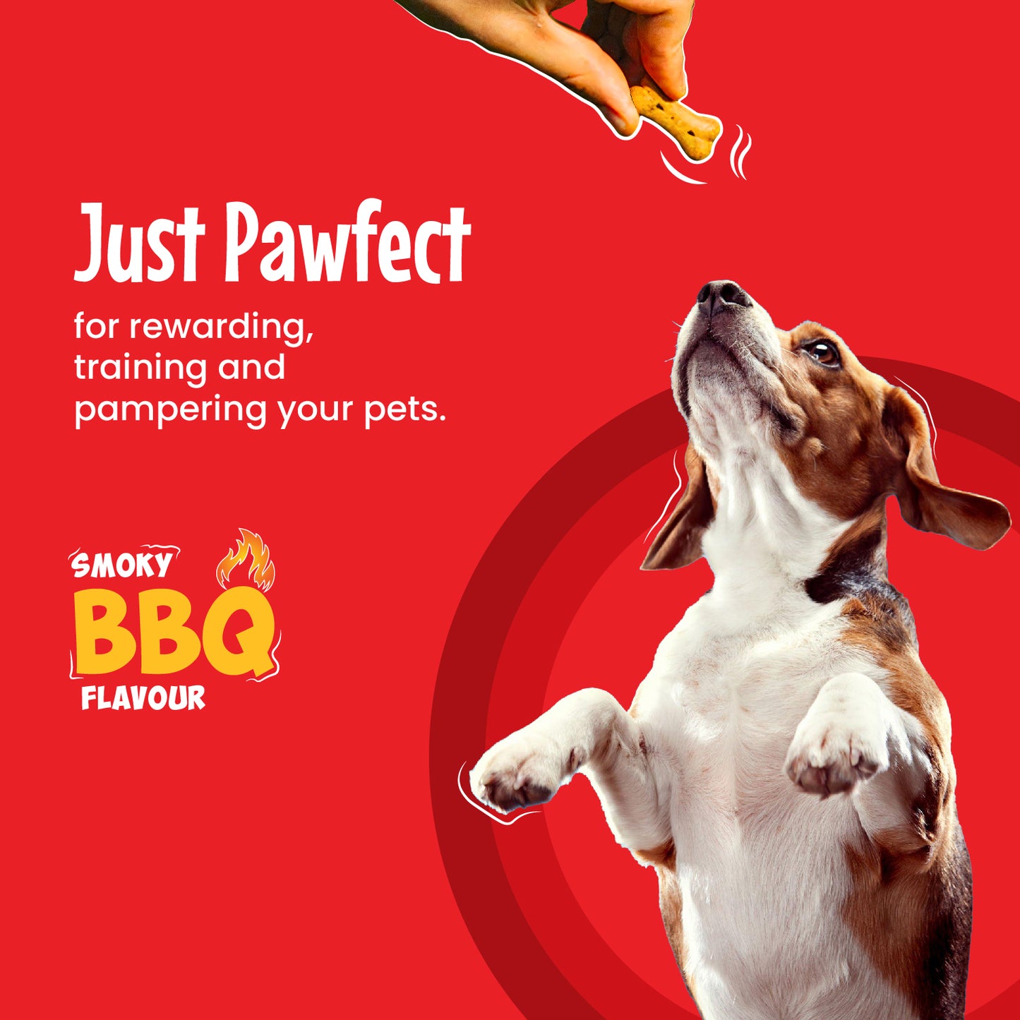 Just pawfect for rewarding, training and pampering your pets.