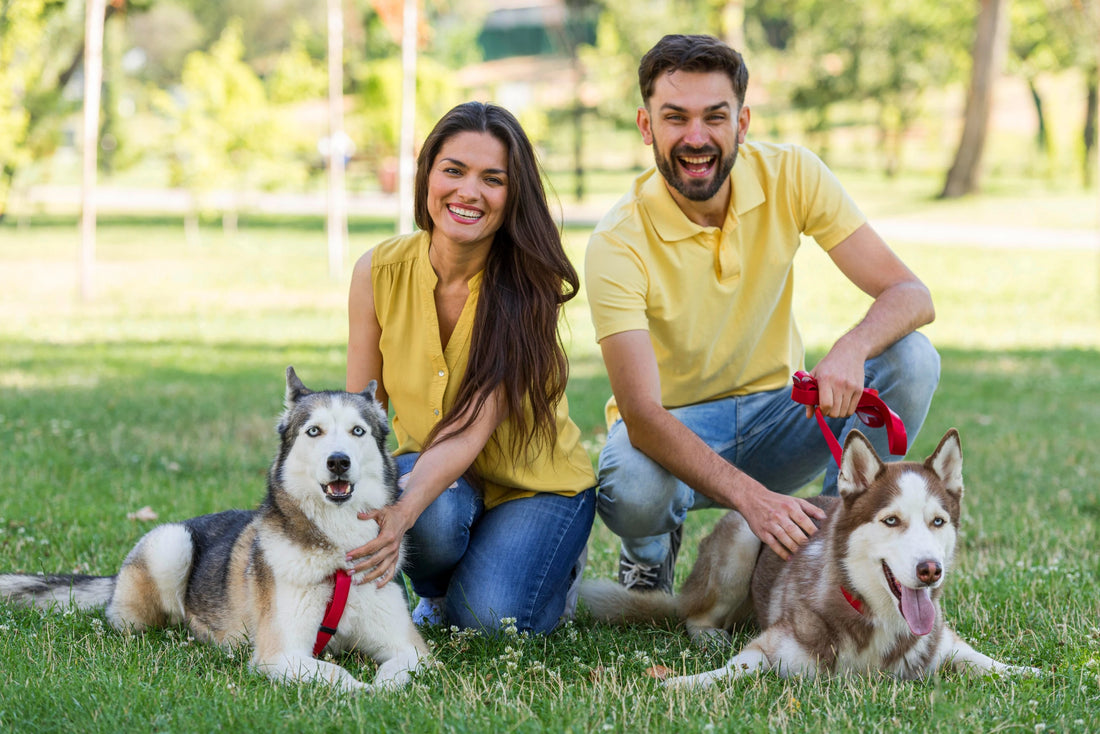 The Ultimate Guide to Bonding with Your Dog: Lessons from Iconic Stories