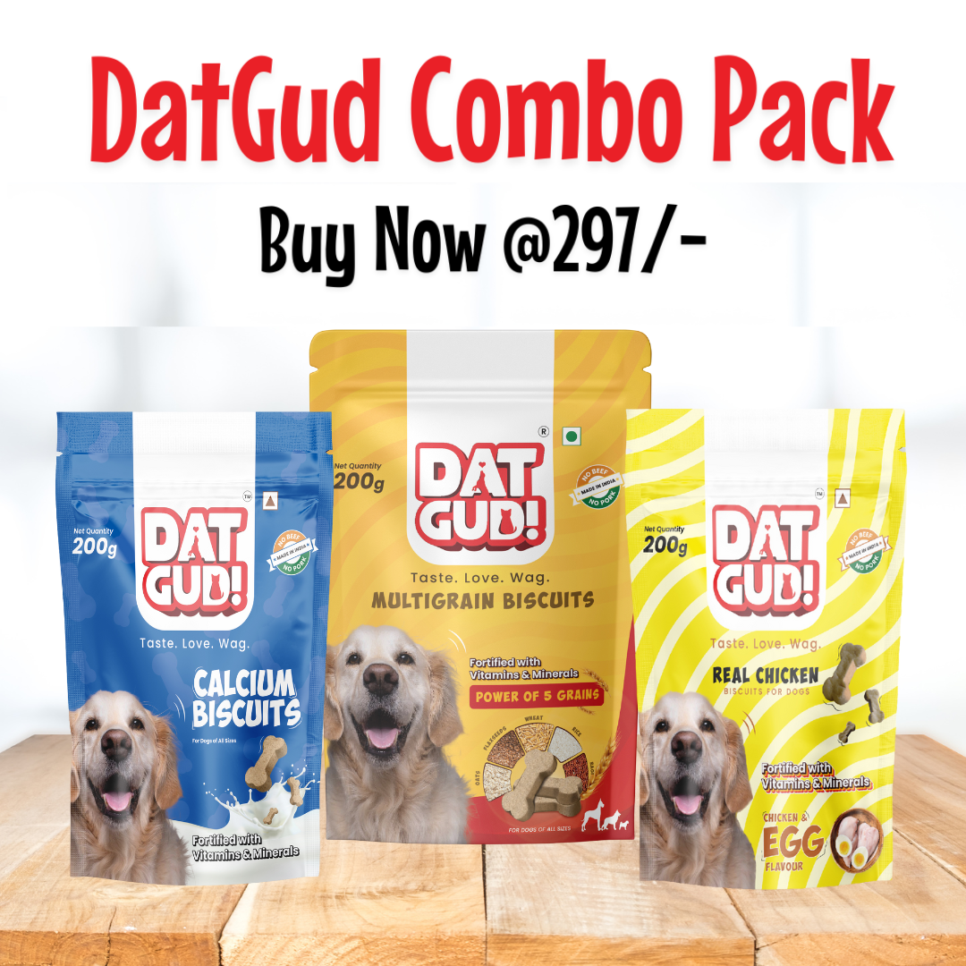 DatGud Biscuits for All Breeds, Calcium Biscuits + Multigrain + Chicken & Egg Flavour, Combo Pack (600g)