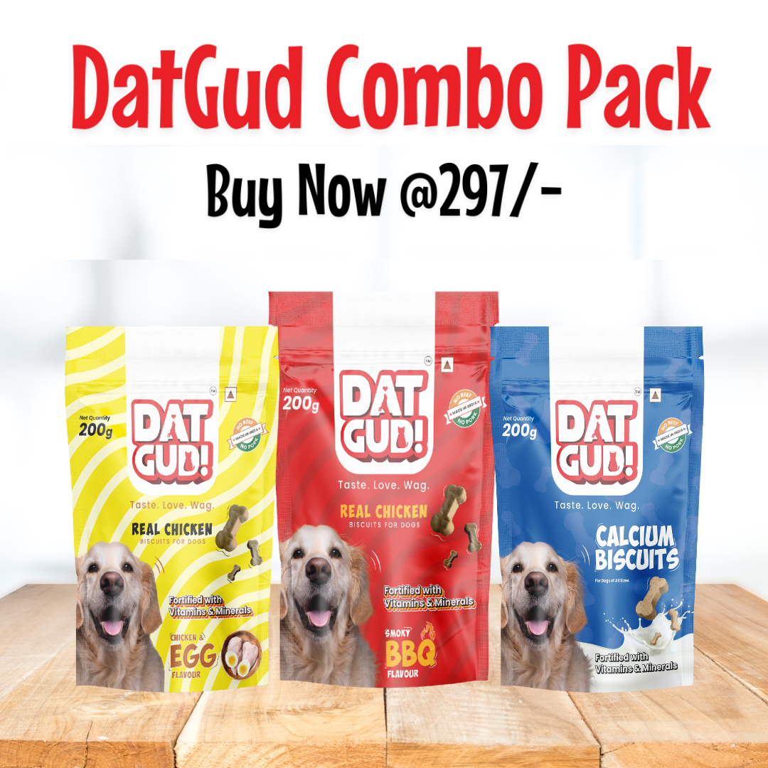 DatGud Biscuits for All Breeds, Chicken & Egg Flavour + Smoky Barbeque Chicken + Calcium + , Combo Pack (600g)