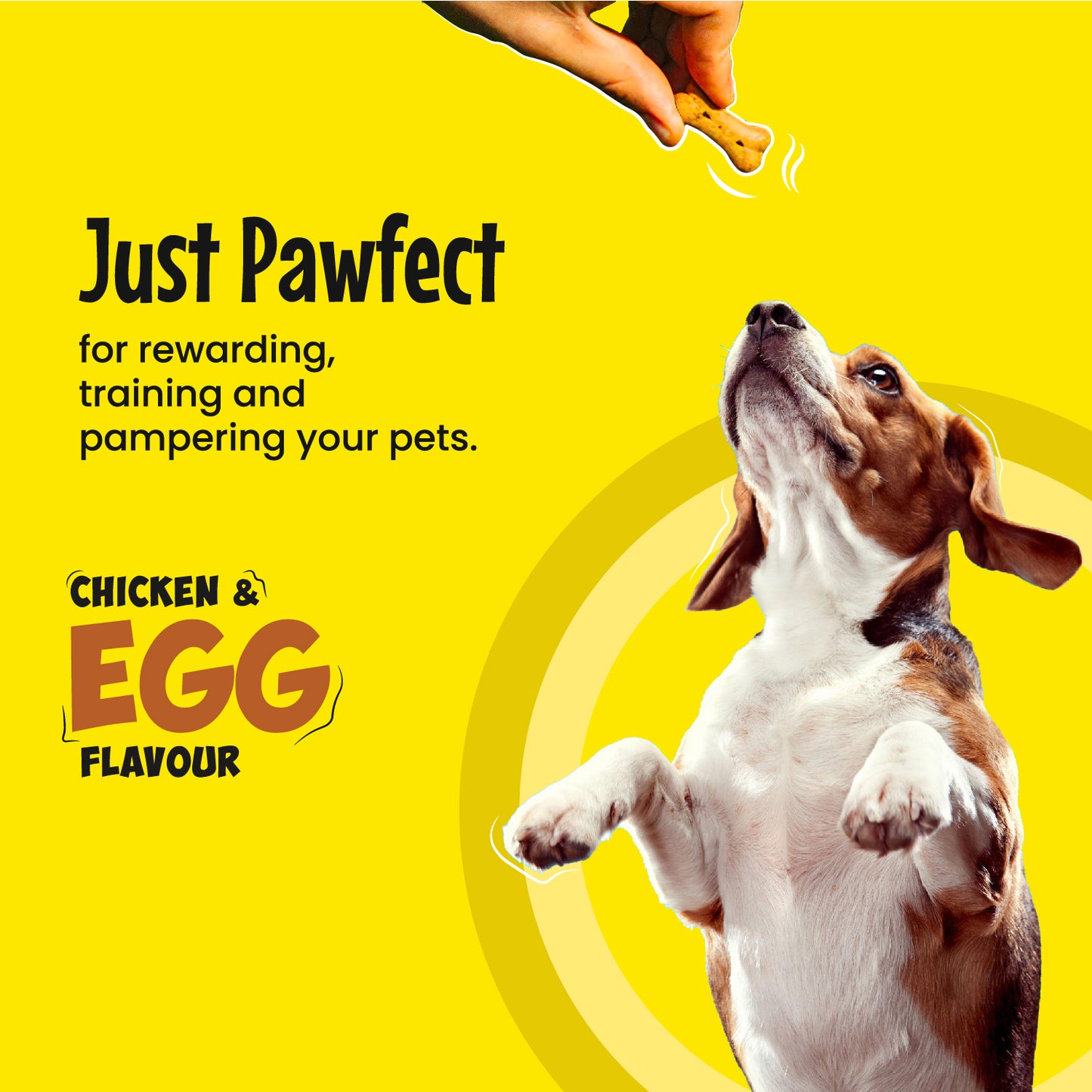 Just pawfect for rewarding, training and pampering your pets. 