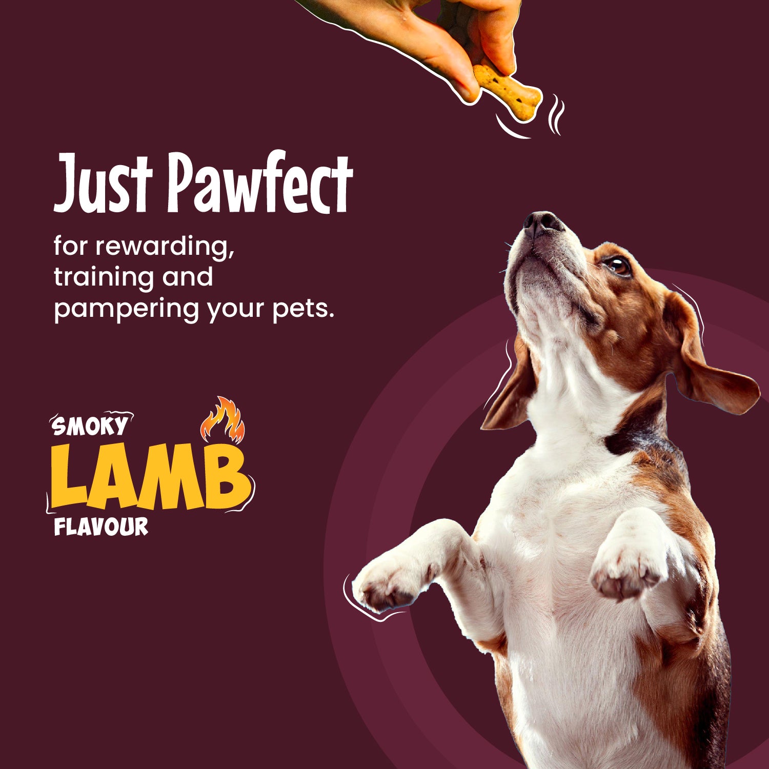 Just pawfect for rewarding, training and pampering your pets. 