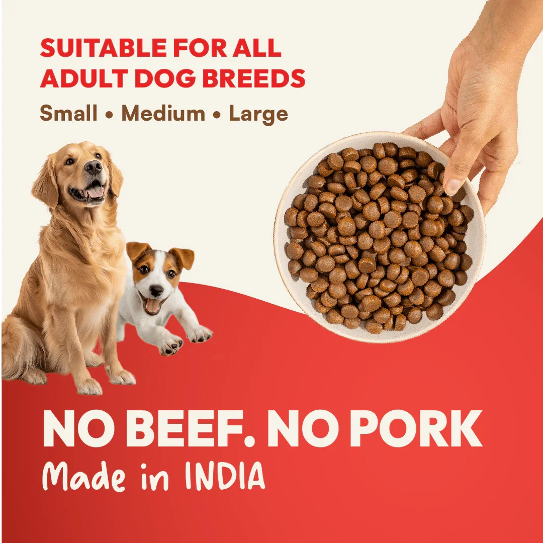 DatGud Brown Rice & Chicken, Adult Dry Dog Food - DatGud