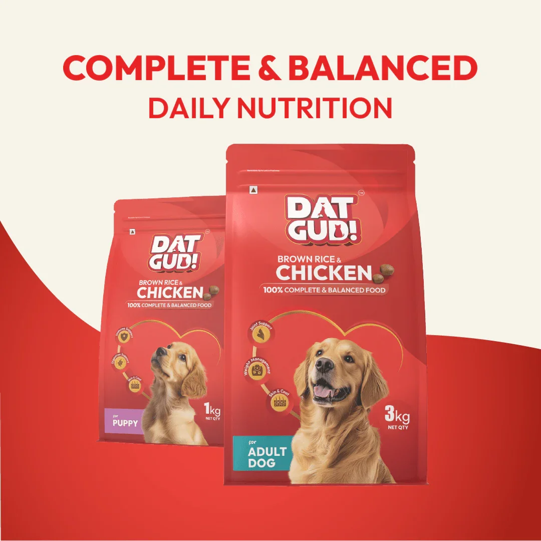 DatGud Brown Rice & Chicken, Adult Dry Dog Food - DatGud