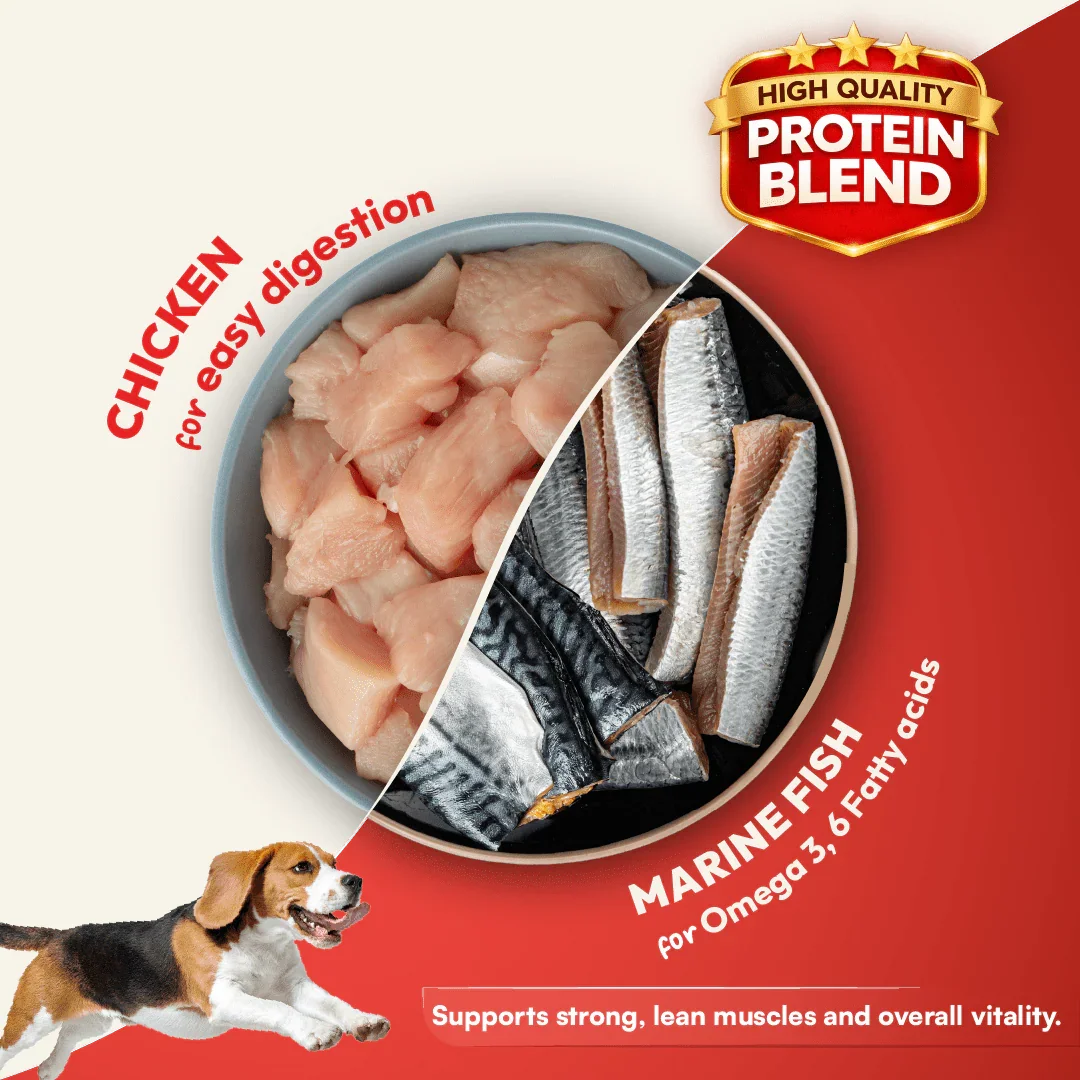 DatGud Brown Rice & Chicken, Adult Dry Dog Food - DatGud