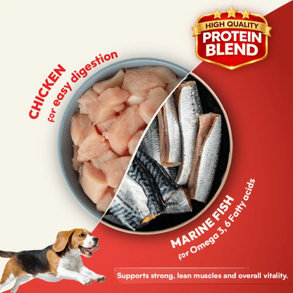 DatGud Brown Rice & Chicken, Adult Dry Dog Food - DatGud