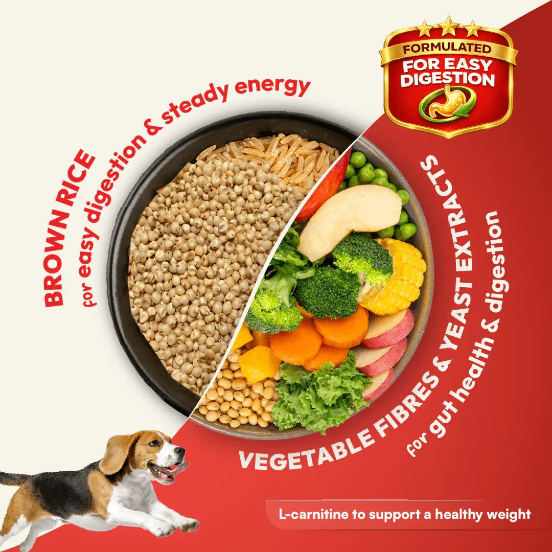 DatGud Brown Rice & Chicken, Adult Dry Dog Food - DatGud