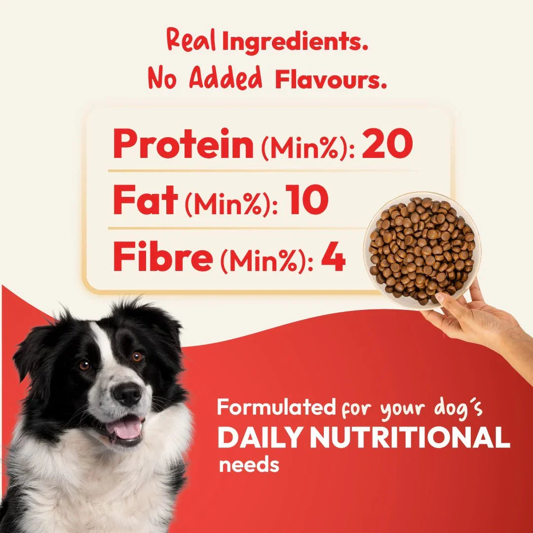 DatGud Brown Rice & Chicken, Adult Dry Dog Food - DatGud