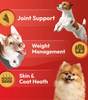 DatGud Brown Rice & Chicken, Adult Dry Dog Food - DatGud