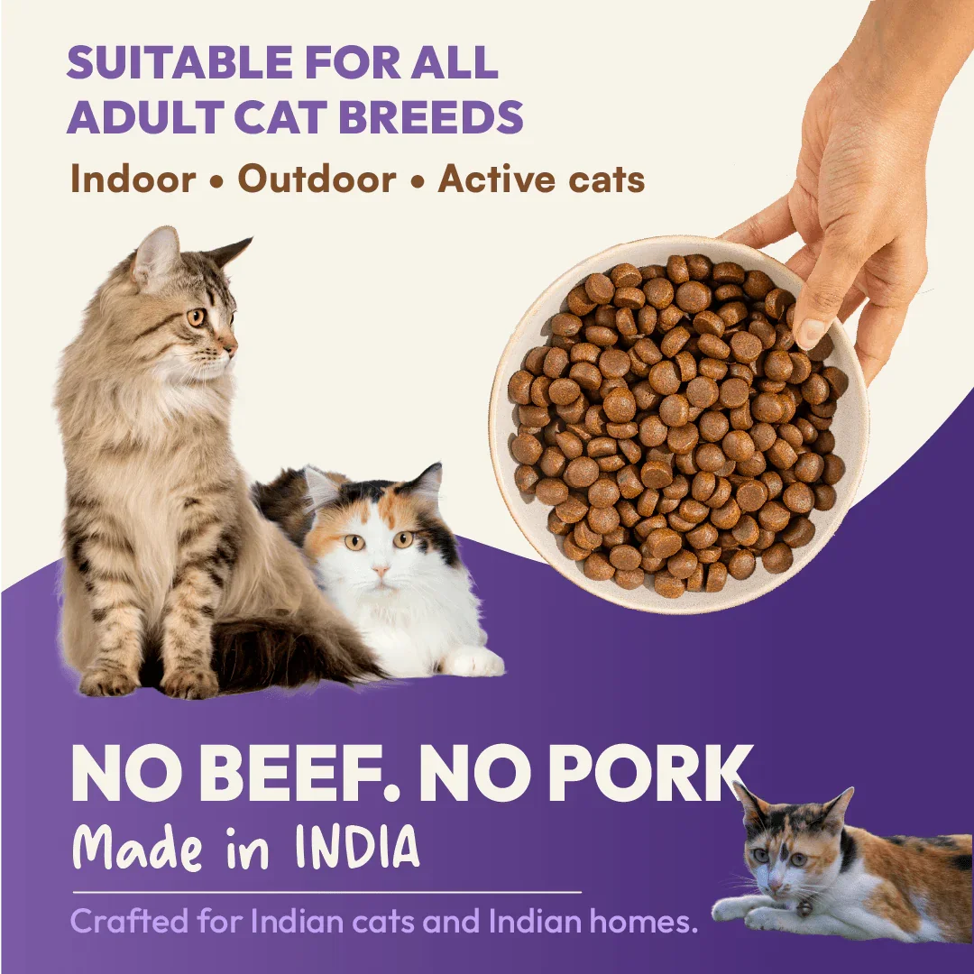 DatGud Chicken & Wild Fish, Adult Dry Cat Food - DatGud