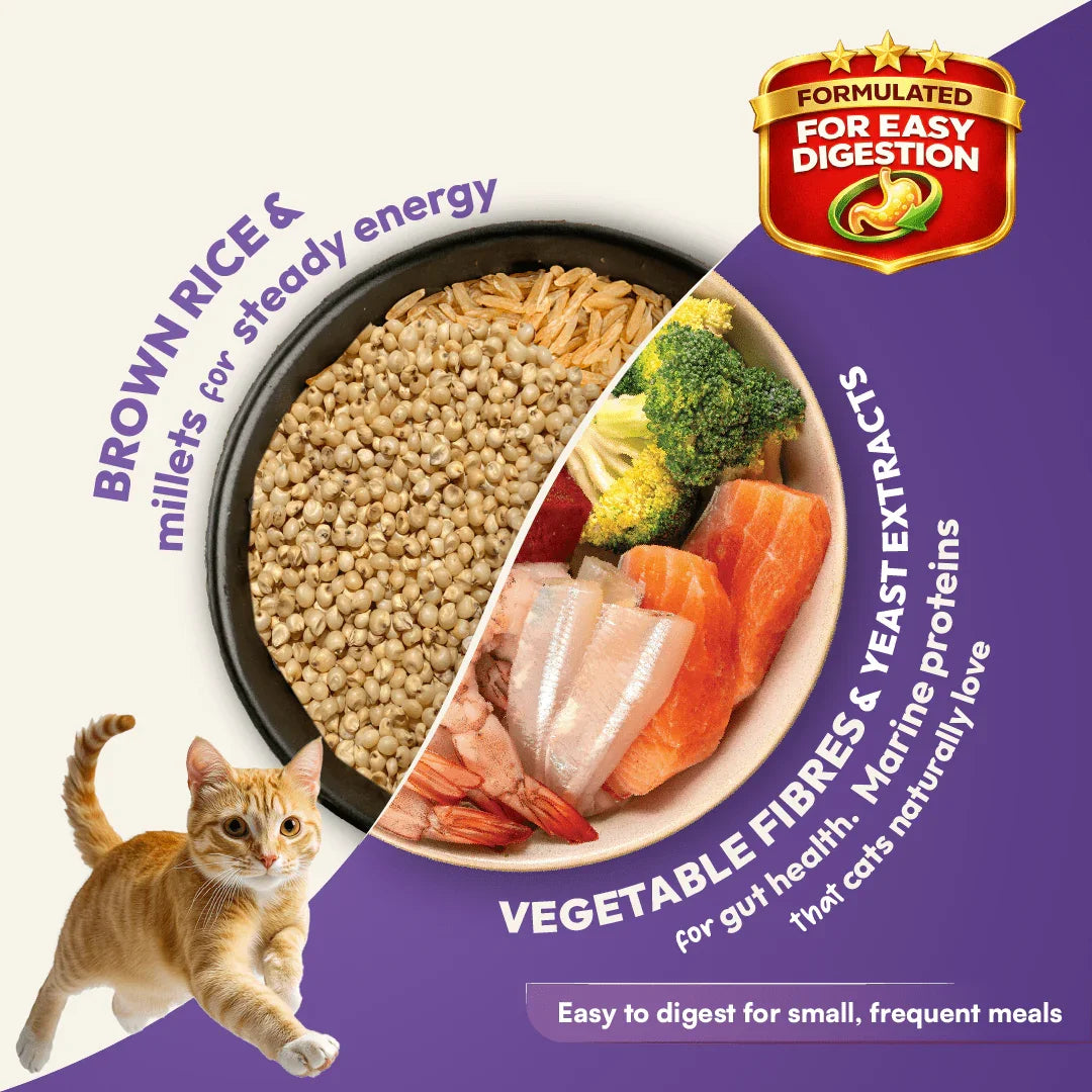 DatGud Chicken & Wild Fish, Adult Dry Cat Food - DatGud