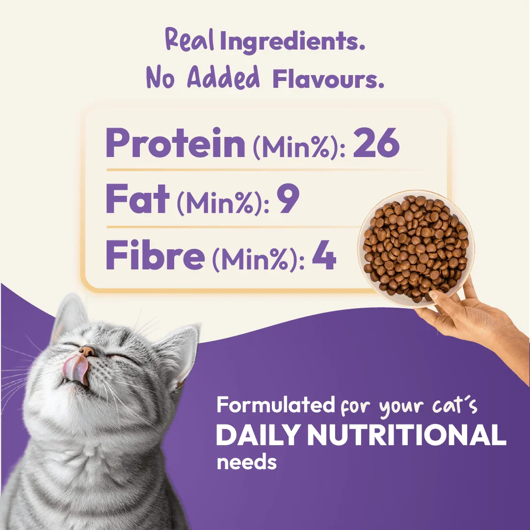DatGud Chicken & Wild Fish, Adult Dry Cat Food - DatGud