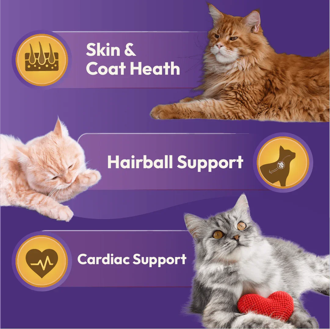 DatGud Chicken & Wild Fish, Adult Dry Cat Food - DatGud