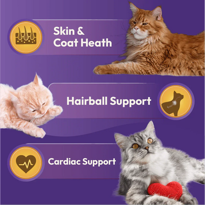 DatGud Chicken & Wild Fish, Adult Dry Cat Food - DatGud