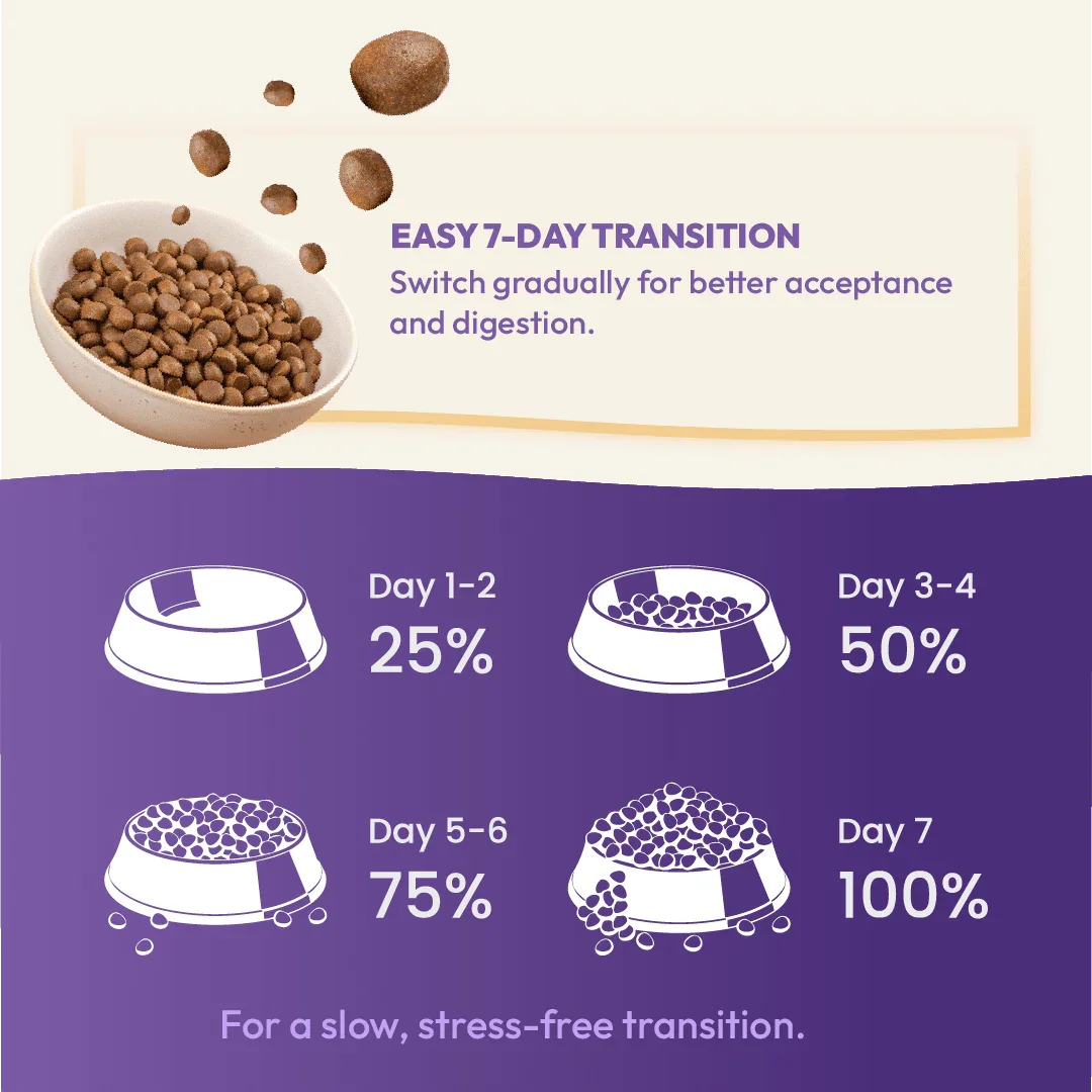 DatGud Chicken & Wild Fish, Adult Dry Cat Food - DatGud