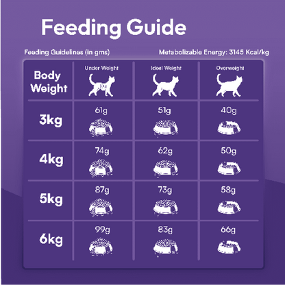 DatGud Chicken & Wild Fish, Adult Dry Cat Food - DatGud
