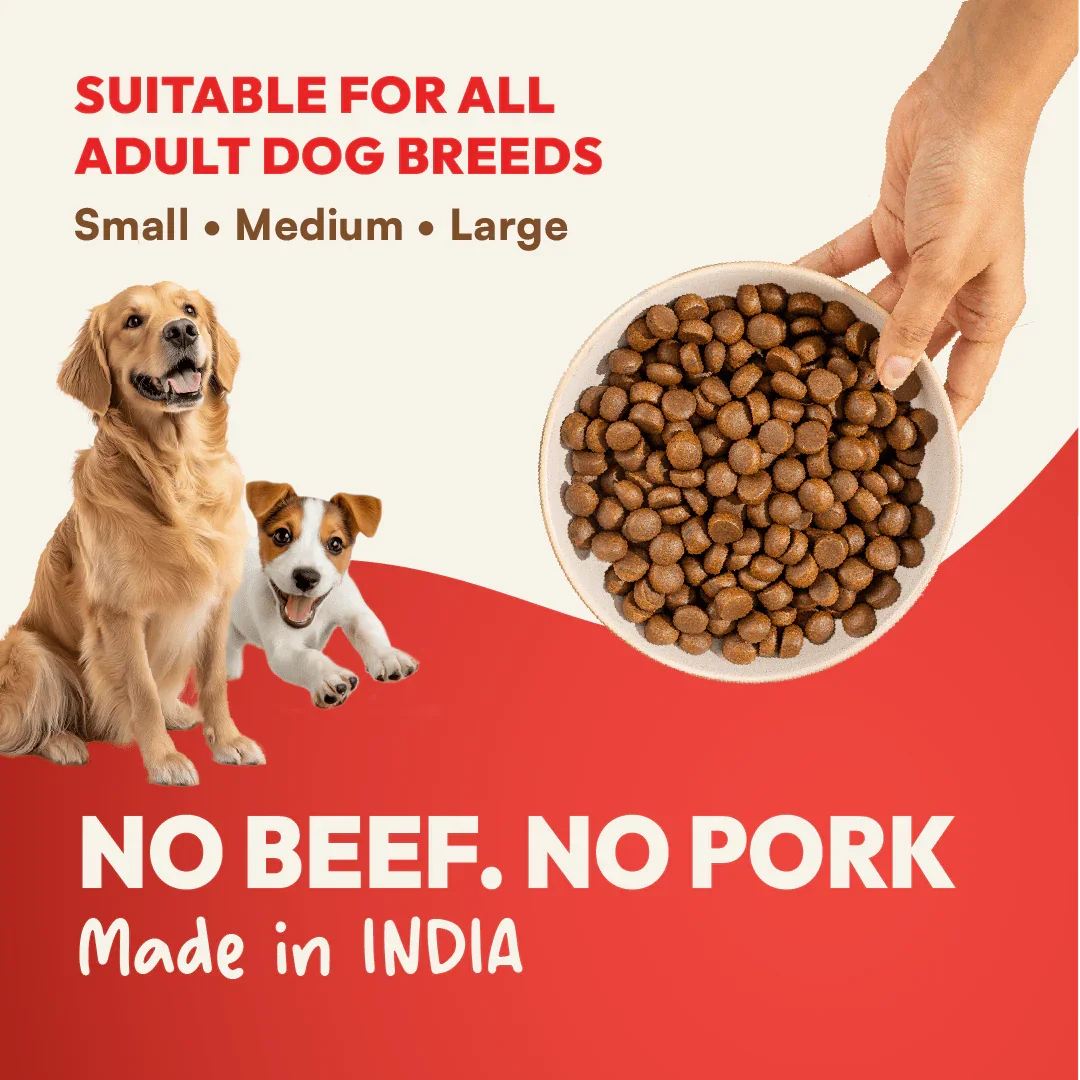 DatGud Brown Rice & Chicken, Dry Dog Food | Puppy - DatGud