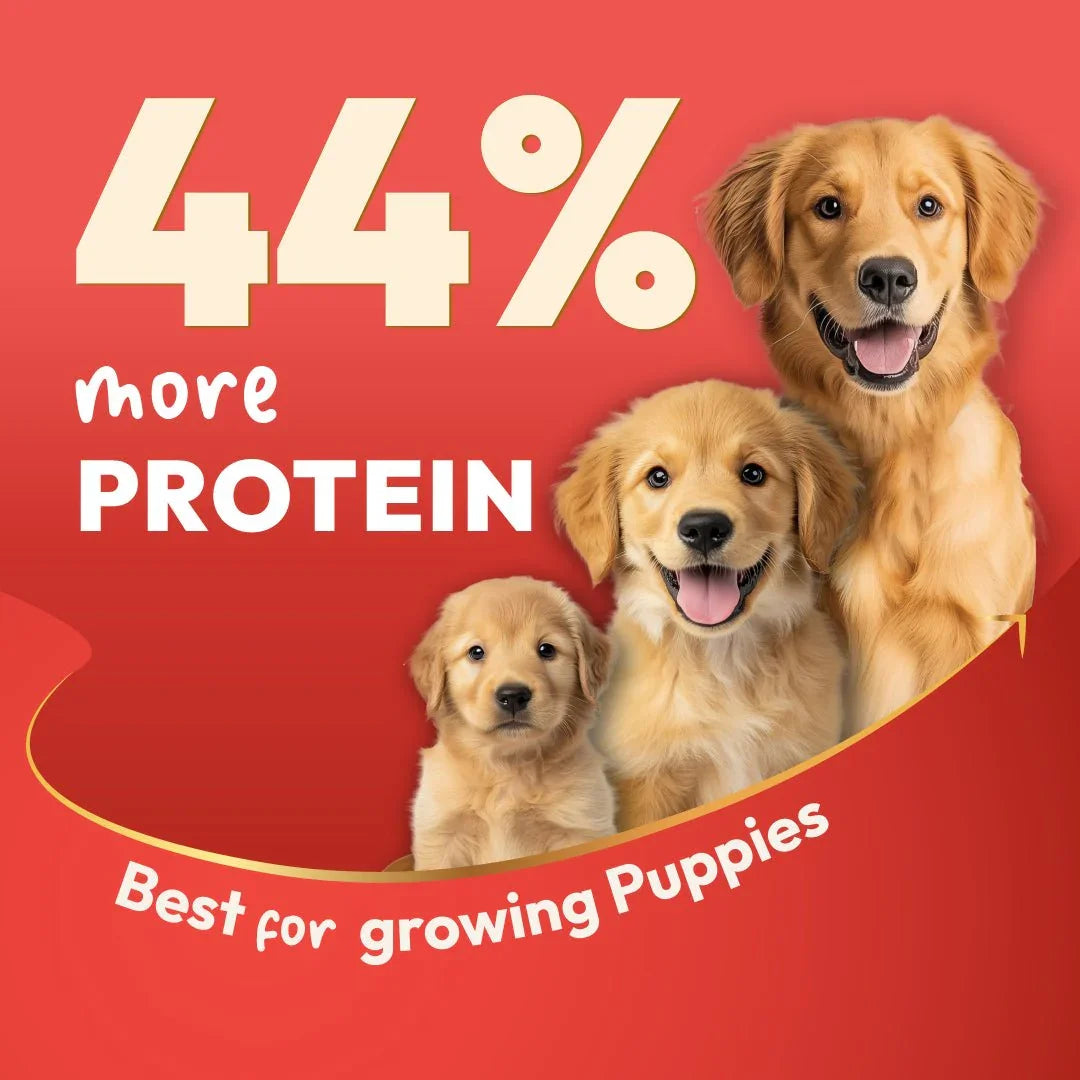 DatGud Brown Rice & Chicken, Dry Dog Food | Puppy - DatGud