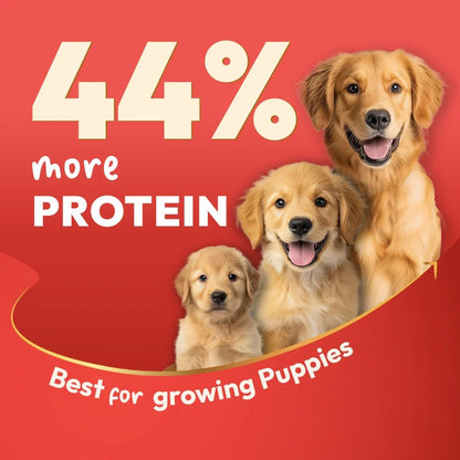 DatGud Brown Rice & Chicken, Dry Dog Food | Puppy - DatGud