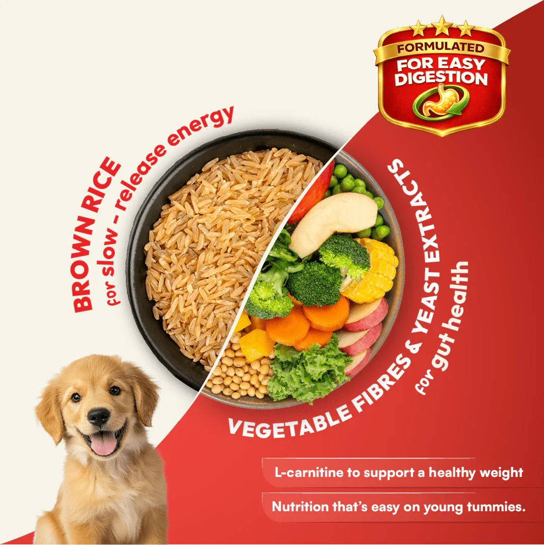 DatGud Brown Rice & Chicken, Dry Dog Food | Puppy - DatGud