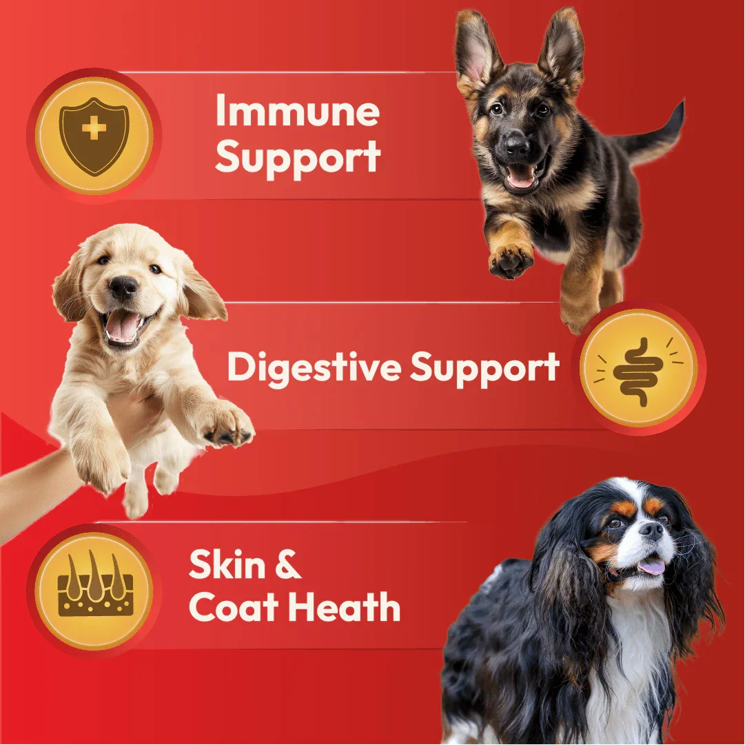 DatGud Brown Rice & Chicken, Dry Dog Food | Puppy - DatGud