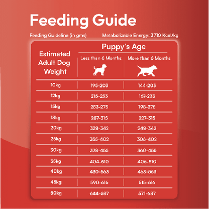 DatGud Brown Rice & Chicken, Dry Dog Food | Puppy - DatGud